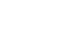 World Economic Forum Skills