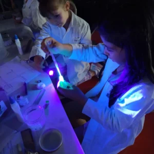 Inscripción Taller SLIMY en SLP