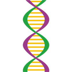 scikid dna